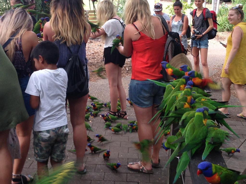 Aparthotel Executive Properties In North Ward And On Magnetic Island