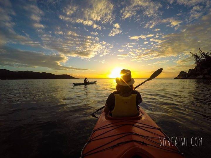Executive Properties In North Ward And On Magnetic Island Aparthotel