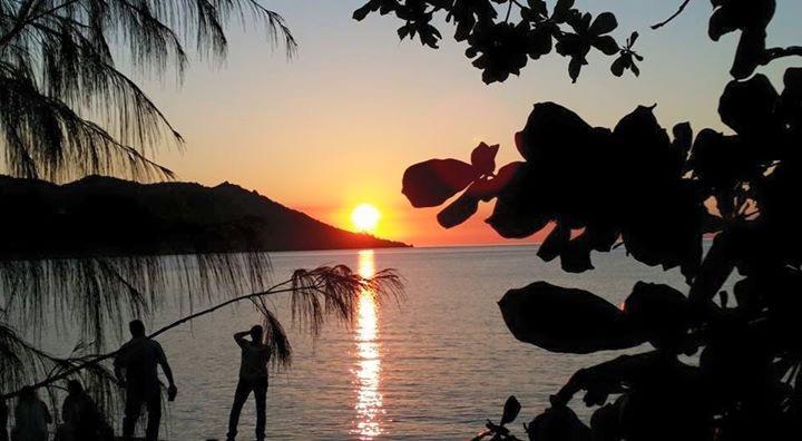 Executive Properties In North Ward And On Magnetic Island Aparthotel